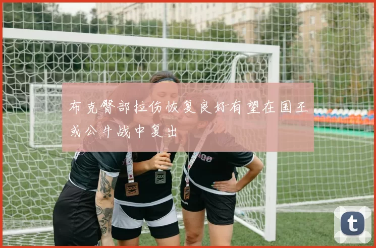 布克臀部拉伤恢复良好有望在国王或公牛战中复出